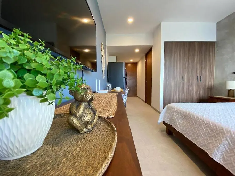 Apartmán Estudio Nuevo En El Corazon De Playa Del Carmen Mexiko