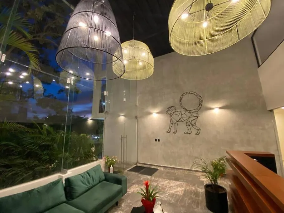 Estudio Nuevo En El Corazon De Playa Del Carmen Mexico